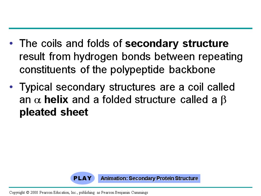 The coils and folds of secondary structure result from hydrogen bonds between repeating constituents